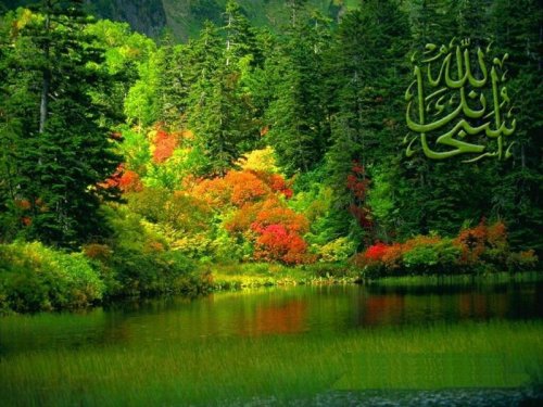 islamic-green-wallpaper